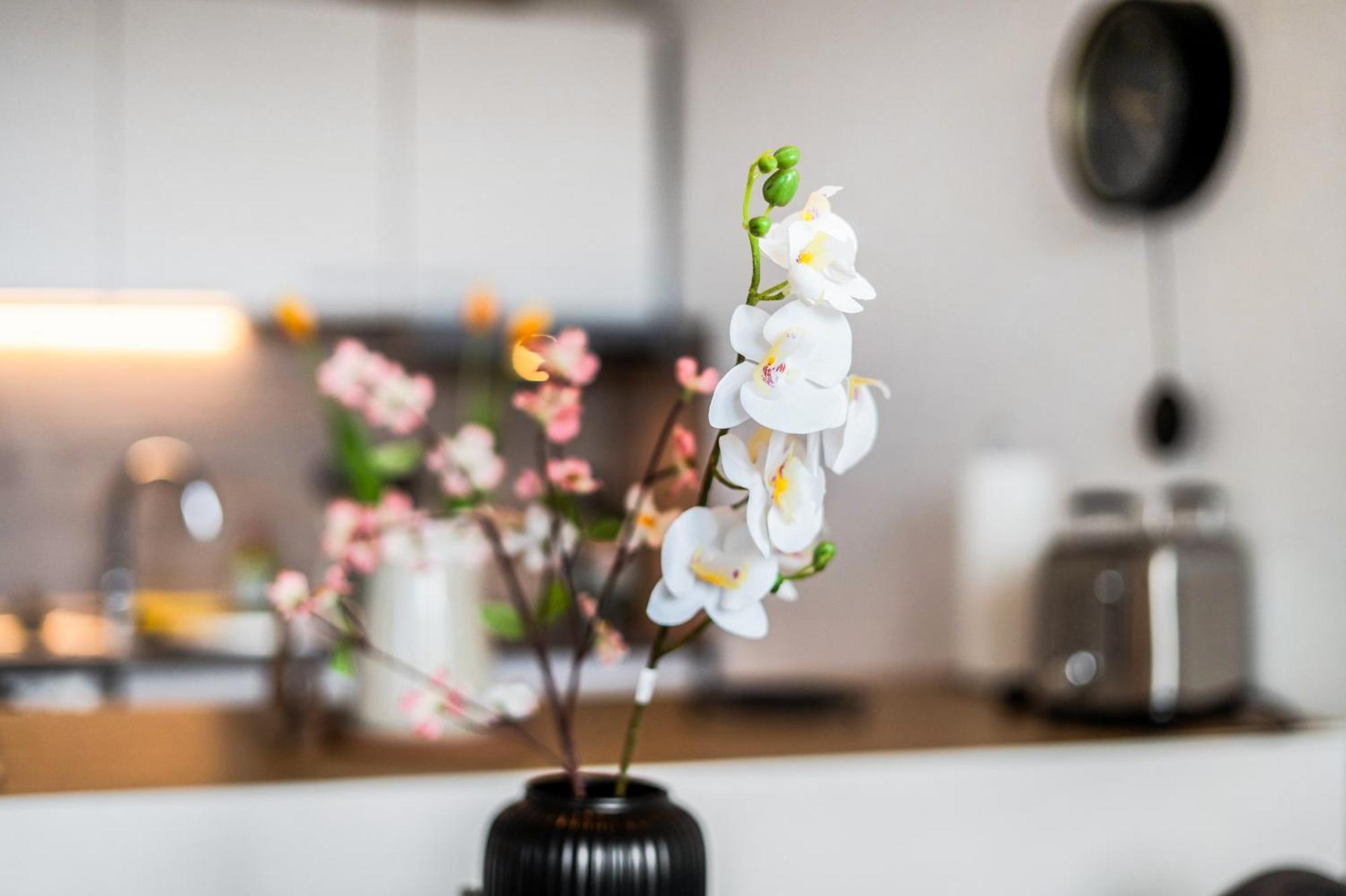 Apartment Ruhiges Und Modernes Zuhause *