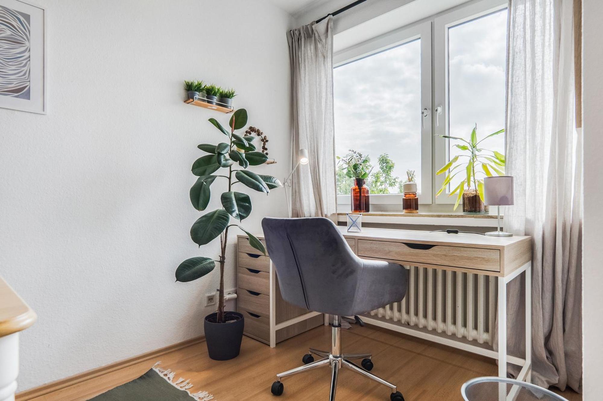 Ruhiges Und Modernes Zuhause Apartment Munster (North Rhine-Westphalia)
