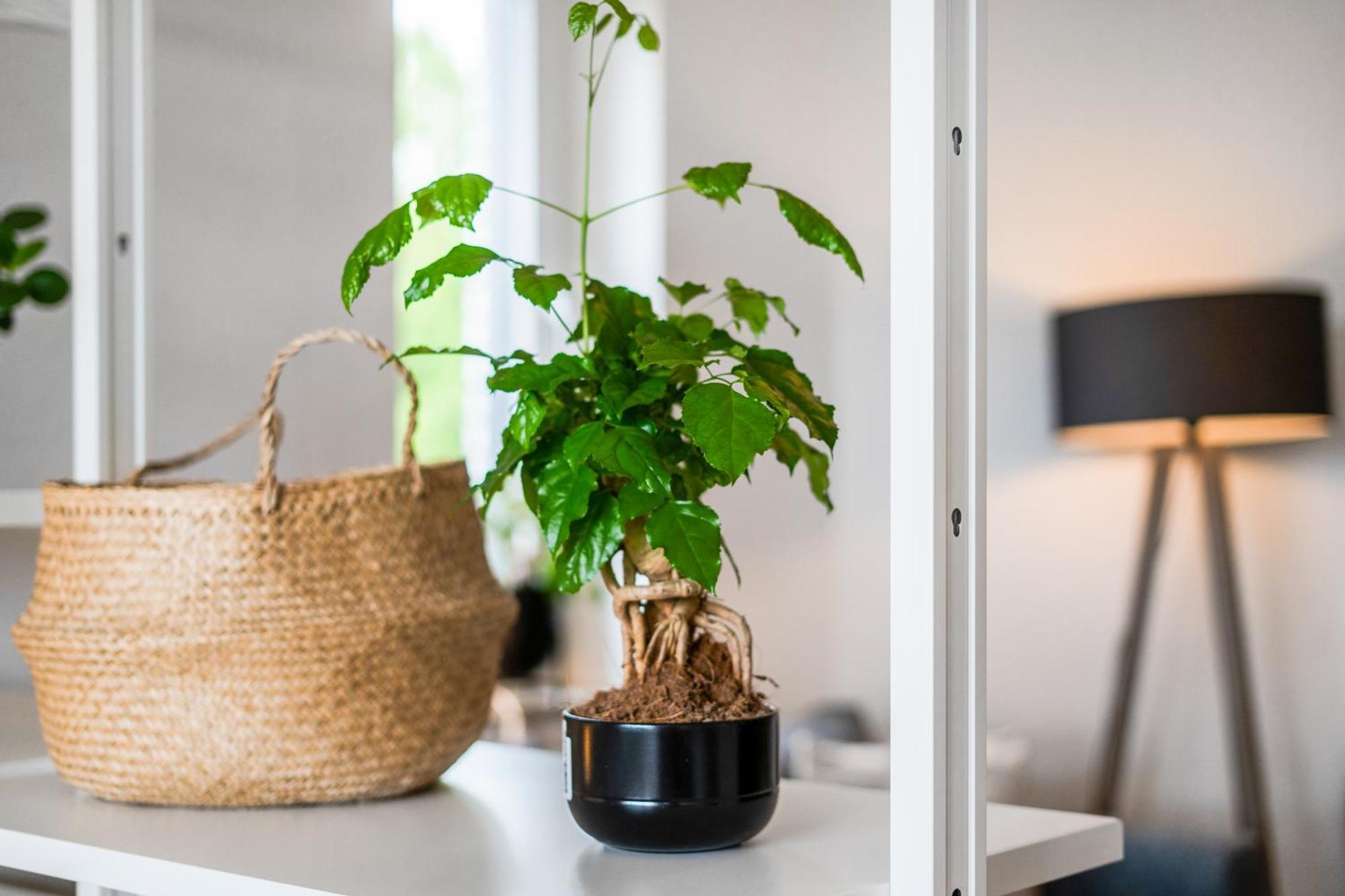 Ruhiges Und Modernes Zuhause Apartment